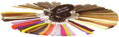 nuancier de mches de cheveux pour vos extensions